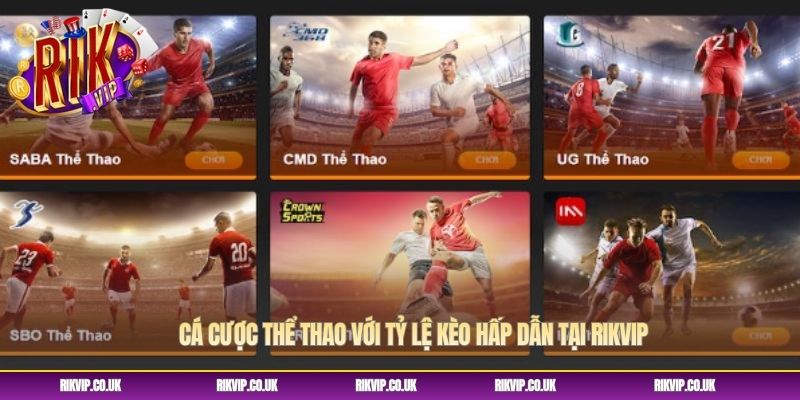 Cá cược thể thao với tỷ lệ kèo hấp dẫn tại RIKVIP