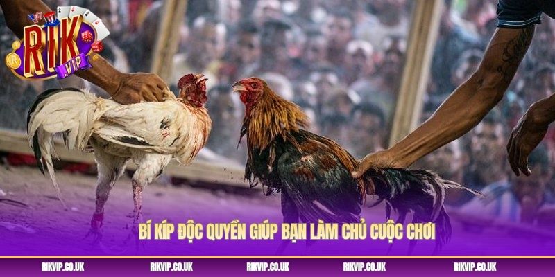 Bí kíp độc quyền giúp bạn làm chủ cuộc chơi Bí kíp độc quyền giúp bạn làm chủ cuộc chơi