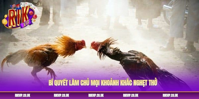 Bí quyết làm chủ mọi khoảnh khắc nghẹt thở Bí quyết làm chủ mọi khoảnh khắc nghẹt thở