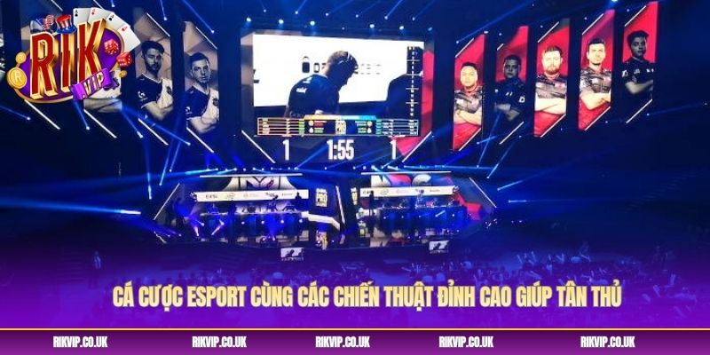 Cá Cược Esport Cùng Các Chiến Thuật Đỉnh Cao Giúp Tân Thủ