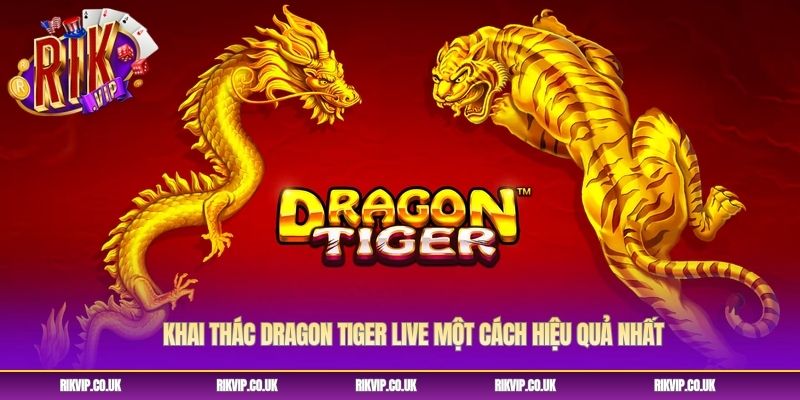Khai thác dragon tiger live một cách hiệu quả nhất