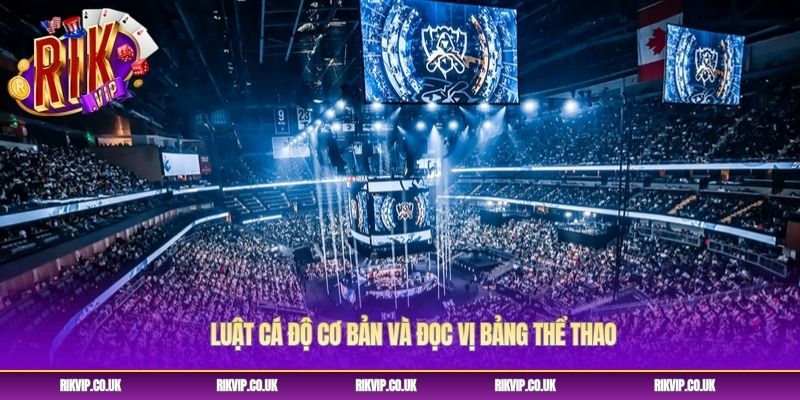 Luật cá độ cơ bản và đọc vị bảng thể thao Luật cá độ cơ bản và đọc vị bảng thể thao