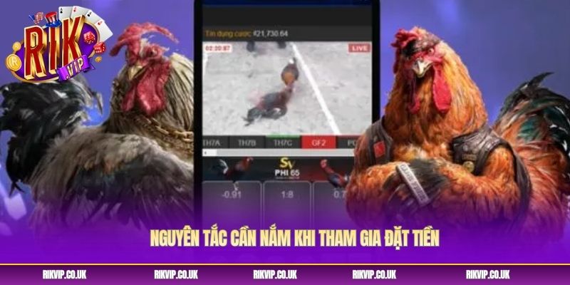 Nguyên tắc cần nắm khi tham gia đặt tiền Nguyên tắc cần nắm khi tham gia đặt tiền