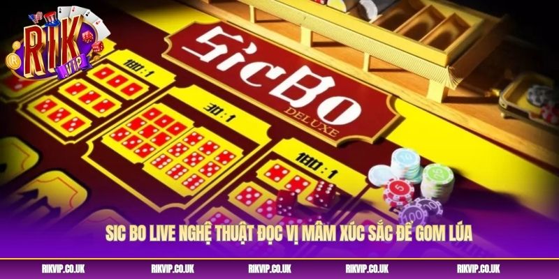 Sic Bo Live Nghệ Thuật Đọc Vị Mâm Xúc Sắc Để Gom Lúa