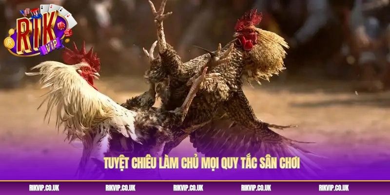 Tuyệt chiêu làm chủ mọi quy tắc sân chơi Tuyệt chiêu làm chủ mọi quy tắc sân chơi